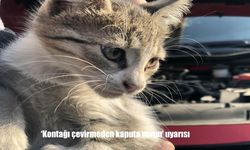 ‘Kontağı çevirmeden kaputa vurun’ uyarısı