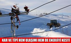 Muş’ta kar esareti: 92 köy yolu kapalı, köy ve mezralarda elektrik yok!