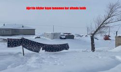 Ağrı’da kış hayatı durma noktasına getirdi