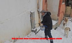 Erzincan’da Dondurucu Soğuklar Hayatı Felç Etti: Donan Borular Pürmüzle Açıldı