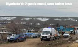 Diyarbakır’da 2 çocuk annesinden haber alınamıyor: Ekipler arama çalışması başlattı