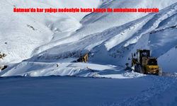 Batman’da Kar Engeli: Hasta Kepçeyle Ambulansa Taşındı