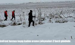 Diyarbakır’da 2 çocuk annesi 3 gündür aranıyor