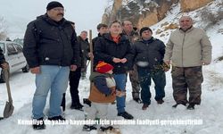 Kemaliye’de yaban hayvanları için yemleme faaliyeti gerçekleştirildi