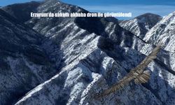 Erzurum’da sakallı akbaba dron ile görüntülendi