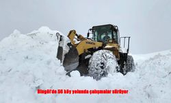 Bingöl’de 56 Köy Yolunda Kar Mesaisi