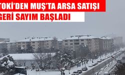 TOKİ’den Muş’ta arsa müzayedesi