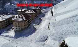 Çatak'ta iki ayrı çığ düştü