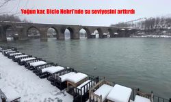 Yoğun kar, Dicle Nehri’nde su seviyesini arttırdı