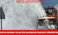 Muş'ta kar ve tipiyle mücadele sürüyor: Kapalı köy yolları tek tek açılıyor