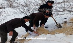 Kemah’ta yaban hayatı unutulmadı