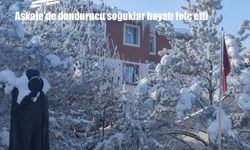 Aşkale’de dondurucu soğuklar hayatı felç etti