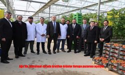 Ağrı’da Jeotermal Güçle Üretilen Domatesler Avrupa Yolunda