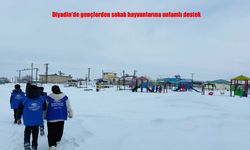Diyadin’de yürek ısıtan dayanışma: Gençlerden sokak hayvanlarına kış desteği