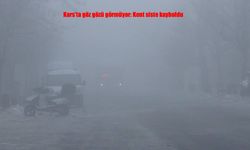 Kars’ta Yoğun Sis Hayatı Felç Etti