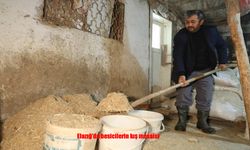 Dondurucu Soğukta Alın Teri: Elazığlı Besicilerin Zorlu Kış Mesaisi