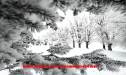 Doğu’da kış sert yüzünü gösterdi