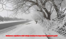 Ardahan buz kesti: Eksi 25’te hayat dondu