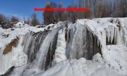 Muradiye Şelalesi kışın büyüsüne kaplandı