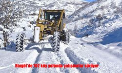 Bingöl'de kapalı köy yolu açma çalışması: 110 personel 53 araç sahada