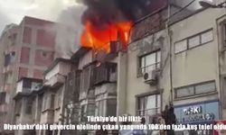 Diyarbakır’daki güvercin otelinde yangın: 100’den fazla kuş telef oldu