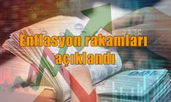 Aralık ayı enflasyon rakamları açıklandı