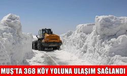 Muş’ta tüm köy yolları ulaşıma açıldı