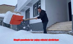 Bingöl’ü Kar Esareti Sardı: Karlıova’da Kar 1,5 Metreyi Buldu