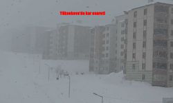 Yüksekova’da Kar Hayatı Felç Etti