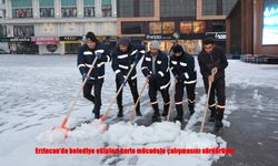Erzincan’da Karla Mücadele Seferberliği: Ekipler 7/24 Sahada