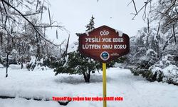 Tunceli’de Kar Yağışı Hayatı Olumsuz Etkiliyor