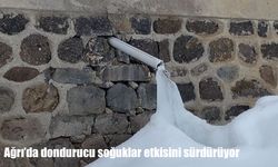 Ağrı'da dondurucu soğuklar hayatı olumsuz etkiliyor