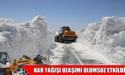 Muş’ta 51 köy yolu ulaşıma kapalı