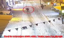 Elazığ'da iki restorana silahlı saldırı: Tutuklu sayısı 6'ya yükseldi