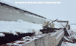 Diyarbakır’da yoğun kar yağışı ahırın çatısını çökertti: 11 hayvan telef oldu