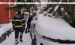 Siirt’te karın ağırlığına dayanamayan ağaç otomobilin üzerine devrildi