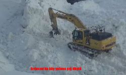 Erzincan’da çığ düştü: Köy yolu ulaşıma kapandı