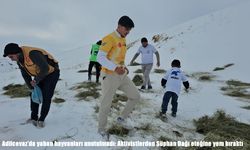 Adilcevaz’da yaban hayvanları unutulmadı: Aktivistlerden Süphan Dağı eteğine yem bıraktı