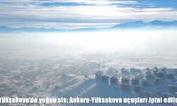 Yüksekova'da yoğun sis: Ankara-Yüksekova uçuşları iptal edildi