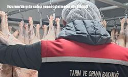 Erzurum’da gıda satışı yapan işletmeler denetlendi