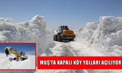 Muş’ta kapanan 368 köy yolunun 215'i ulaşıma açıldı