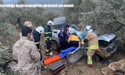 Hatay’da direksiyon hakimiyetini kaybeden otomobil zeytinliğe uçtu: 1 yaralı