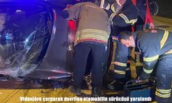 Hatay’da otomobil vidanjöre çarparak devrildi: 1 yaralı