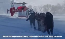 Hakkari'de beyaz esarete karşı sağlık seferberliği: 520 hasta kurtarıldı