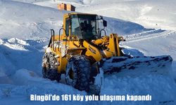 Bingöl’de 161 köy yolu ulaşıma kapandı