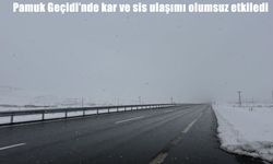 Pamuk Geçidi’nde kar ve sis ulaşımı olumsuz etkiledi