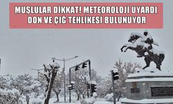 Muşlular dikkat! Meteoroloji'den don ve çığ uyarısı