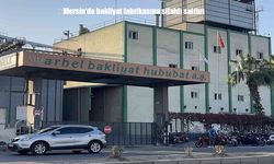 Mersin’de bakliyat fabrikasına silahlı saldırı