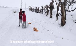 Bitlis’te iki kardeşten örnek davranış: Yaban hayvanlarını unutmadılar