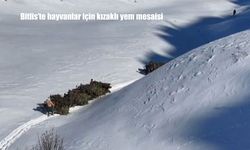 Bitlis’te zorlu kış mesaisi: Hayvanlar için kızakla yem taşıyorlar